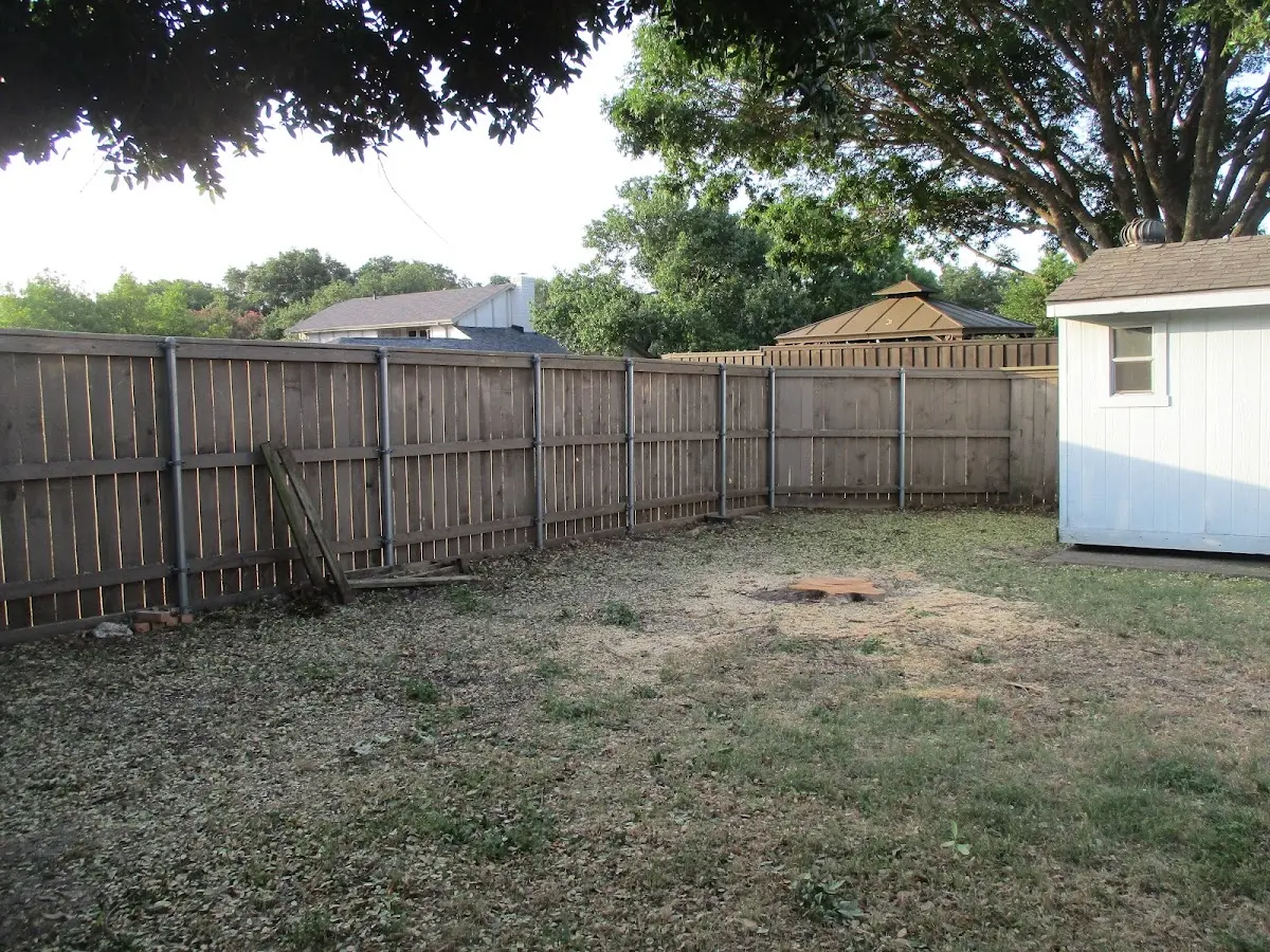 Cleared yard after professional tree removal in Blue Mountain Lake